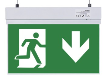 Pictogramme sortie de secours T13 batterie